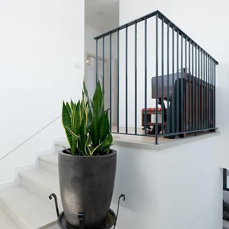 Papaya By Lovelystay Villa Funchal